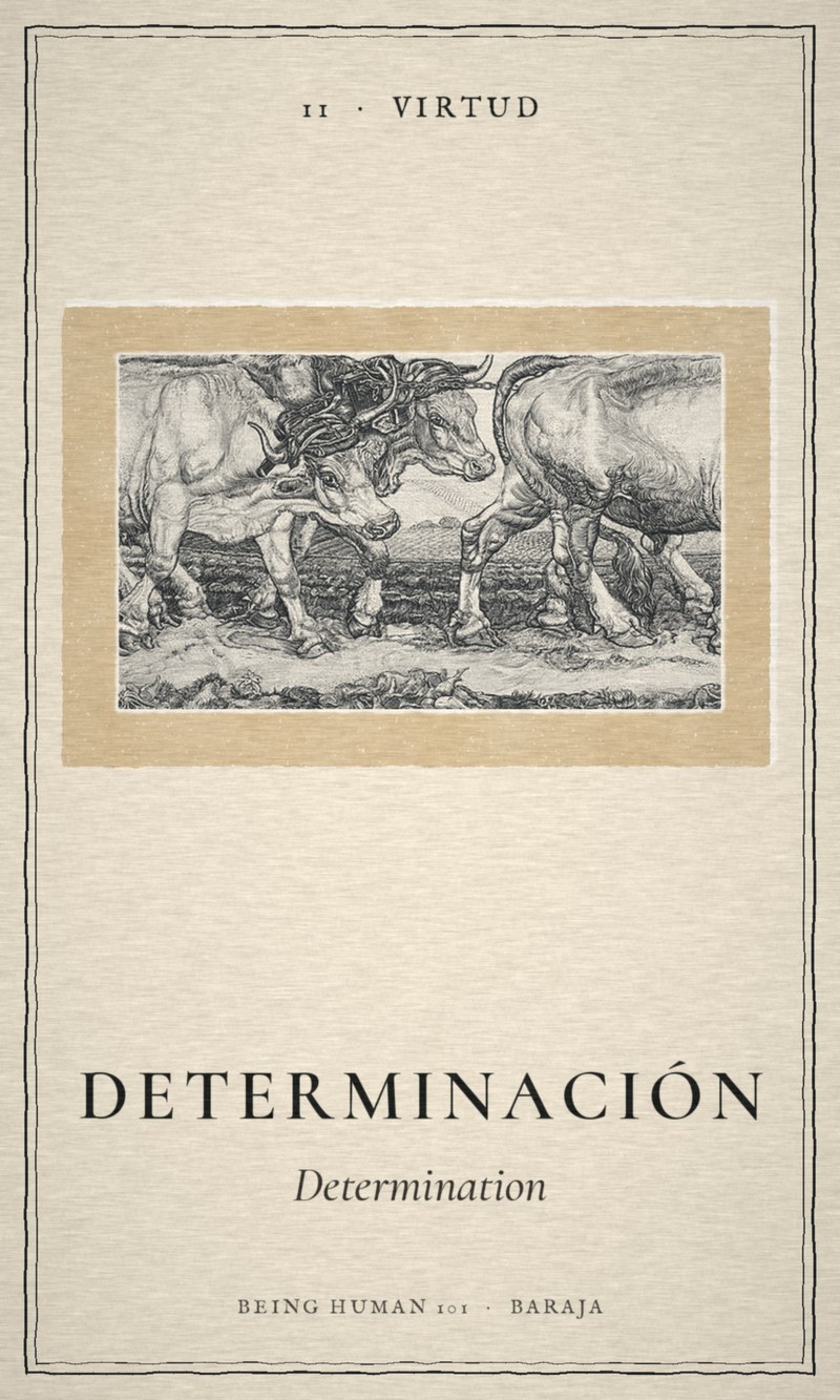 Determinación